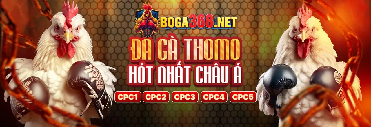Tổng quan nền tảng mm88b với các trò chơi đa dạng và đăng nhập an toàn
